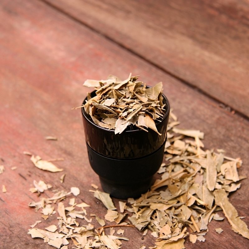 ash leaves in a cup ash leaves in a cup