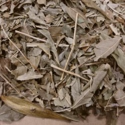 ash leaves to prepare tea