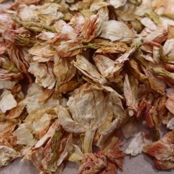 Flores de jazmín para el té