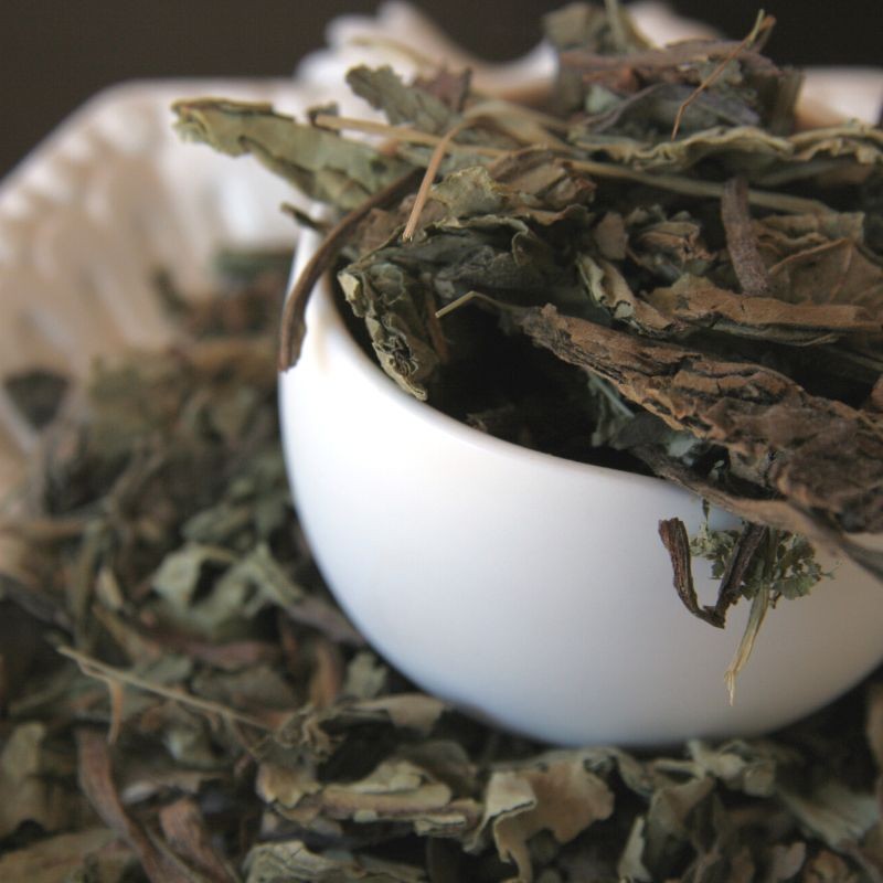 lungwort leaves in a bowl and on a plate