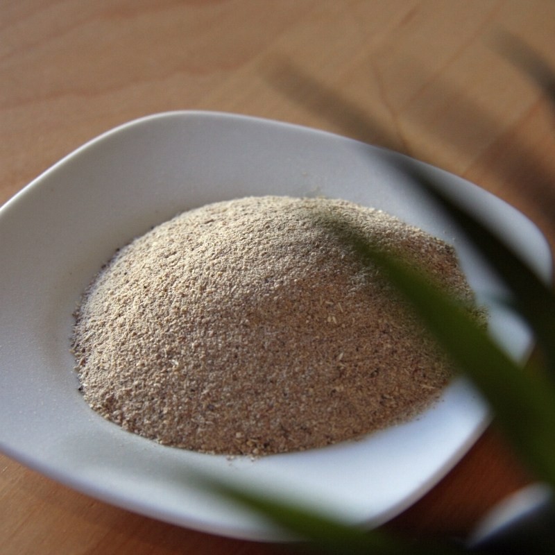 dry Nopal powder on a plate dry Nopal powder on a plate
