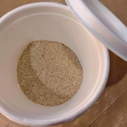 Polvo de nopal en un recipiente