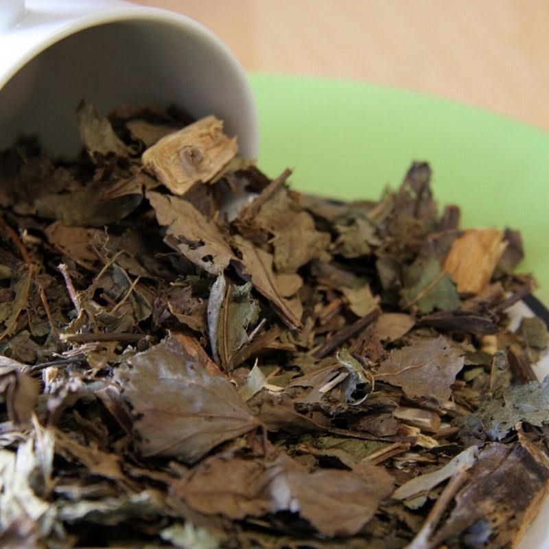 Brazilian Orchid Tree leaves in a cup and on a plate