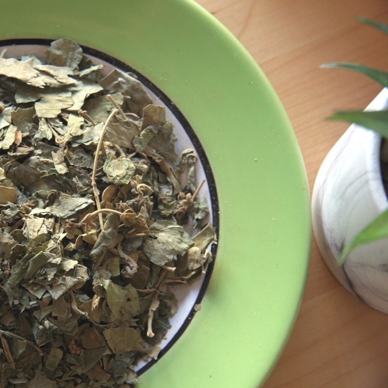 gymnema leaves on a plate next to a vase gymnema leaves on a plate next to a vase