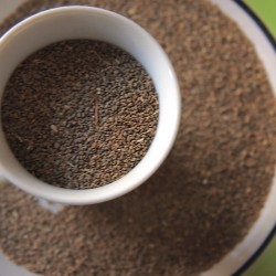 sementes de aipo dentro de uma chávena e sobre um prato