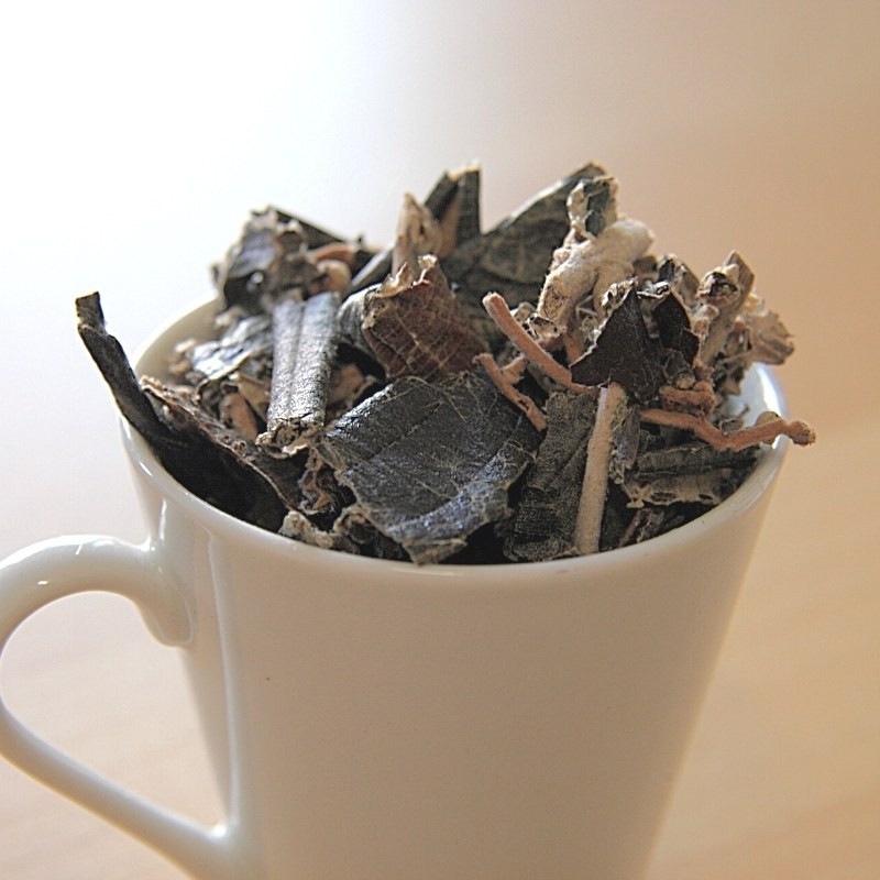 dried canela de velho leaves in a cup