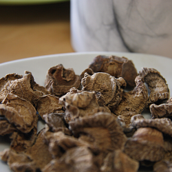 Devil's Claw root on a plate