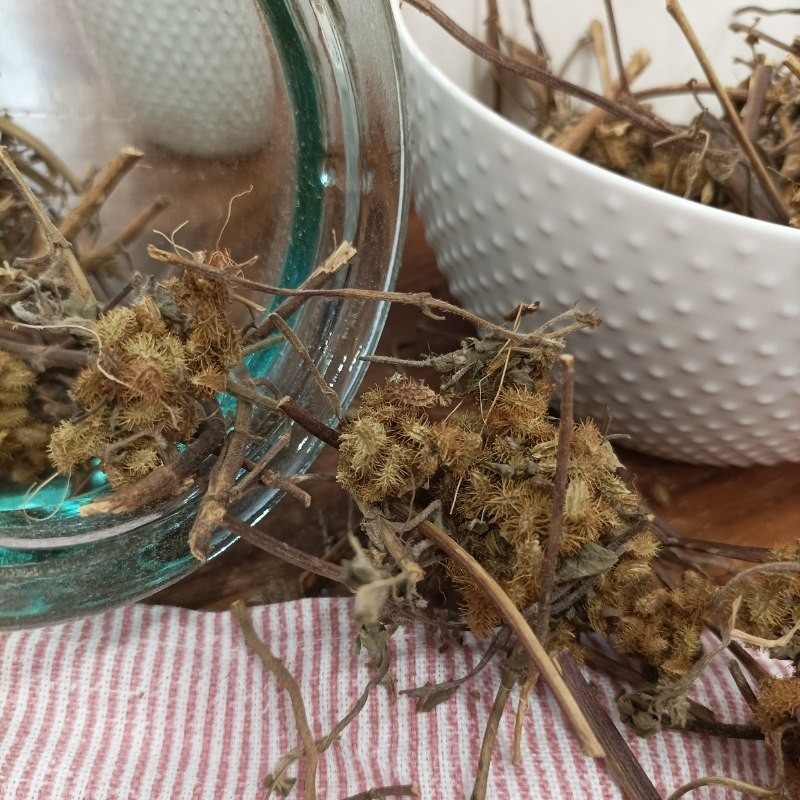 dried desmodium in a cup and in a glass jar