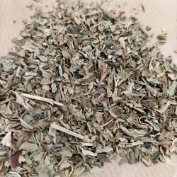 folhas de manjericão para preparar chá