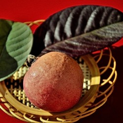 Guava leaves in a basket next to a fruit