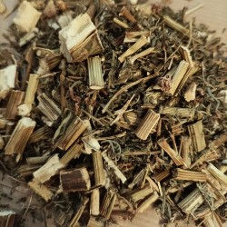 Artemisia annua to prepare tea