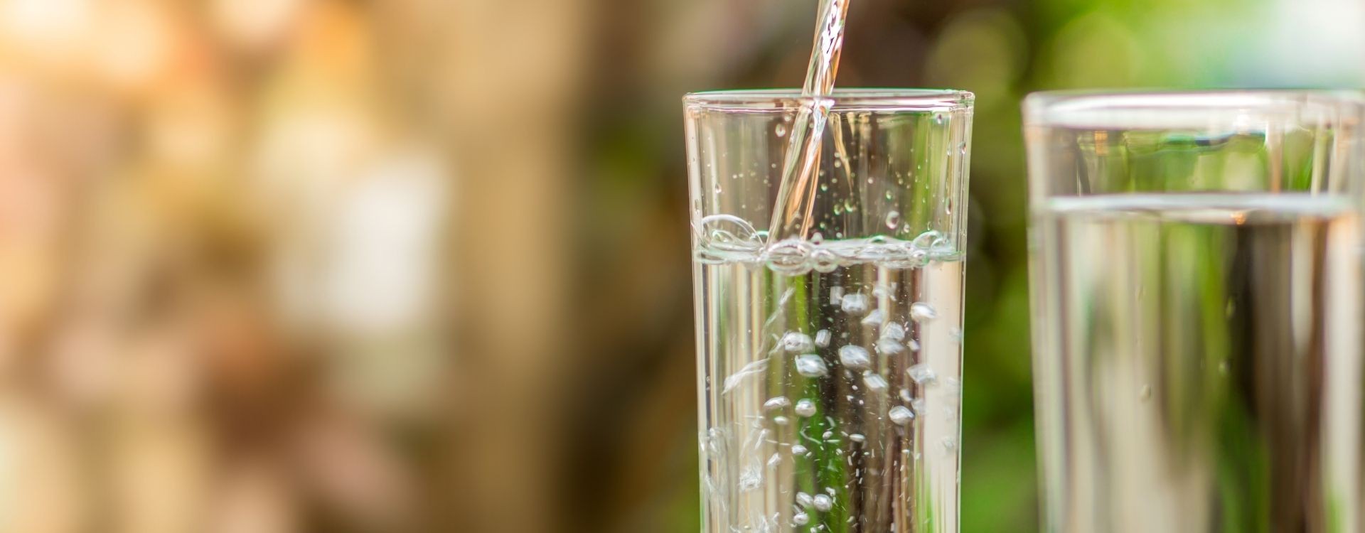 Um dos factores mais importantes no Detox