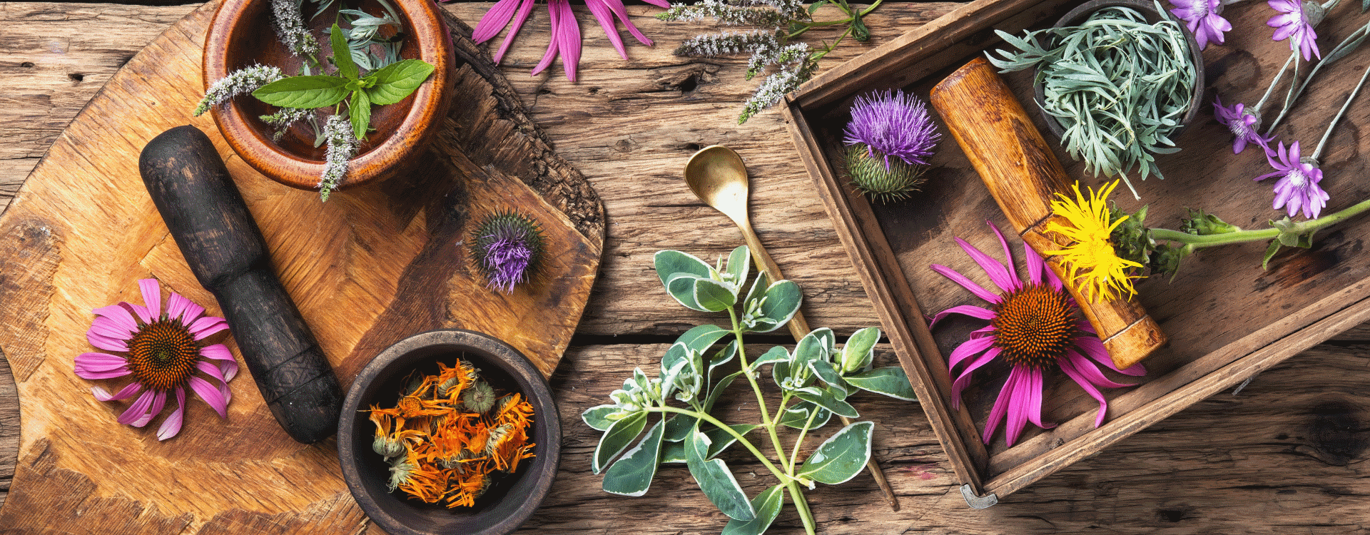 Reflexão sobre a Eficácia da Fitoterapia e dos Produtos Naturais