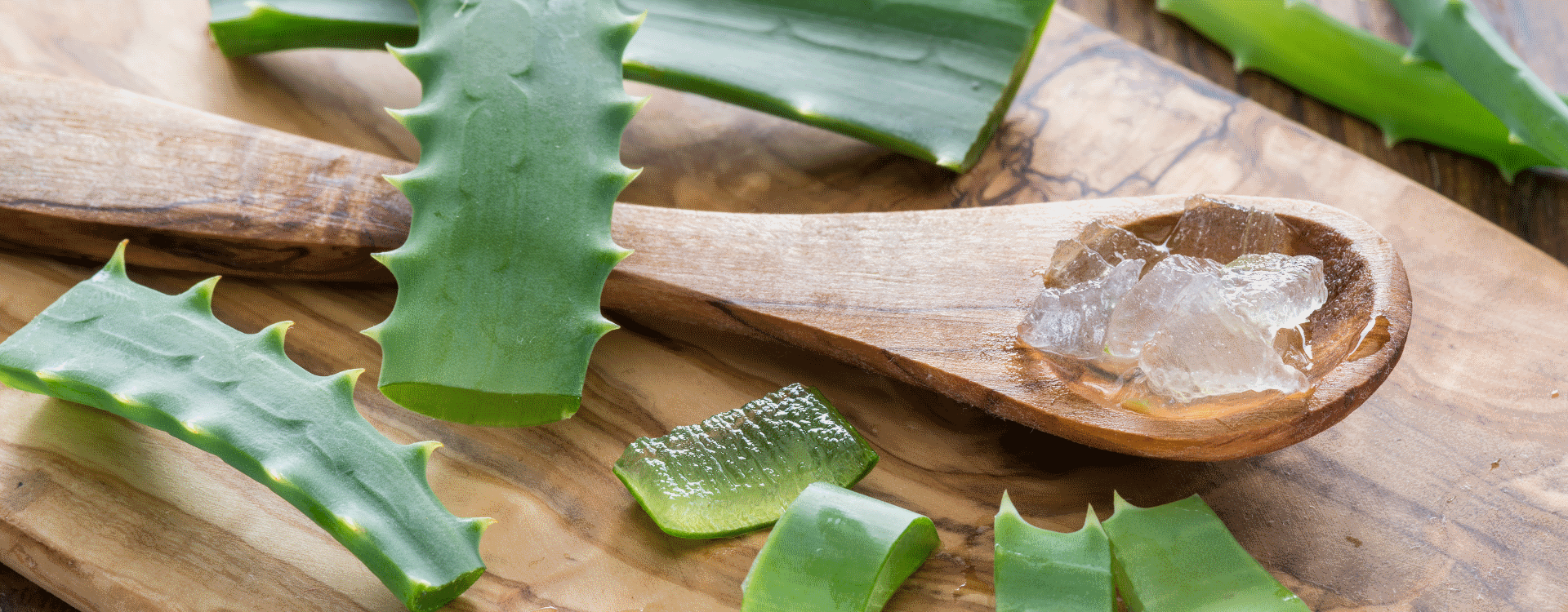 Gel Caseiro de Aloe Vera Puro para Regenerar a tua Pele