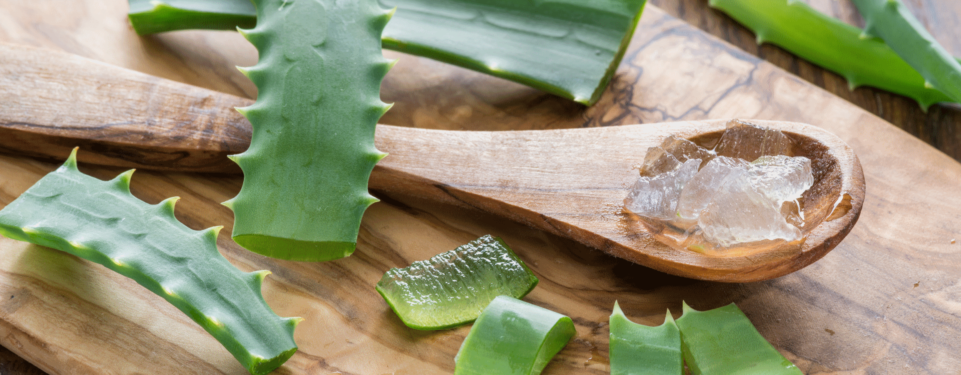 Gel de Aloe Vera puro, una receta casera llena de Beneficios