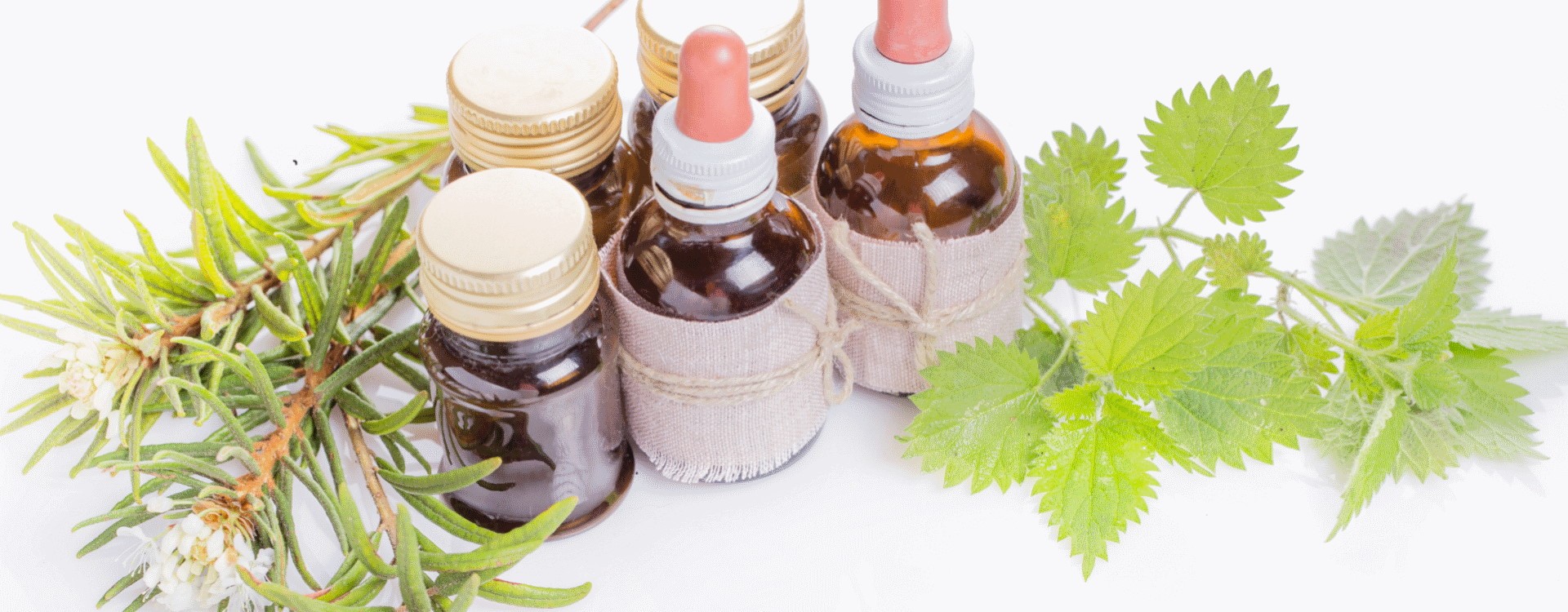 Top 5 - Melhor Produto Natural para a Queda de Cabelo