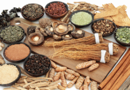 Adaptogens: Supplements for Fatigue and Tiredness