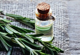 Rosemary Tea - Discover the Health Benefits