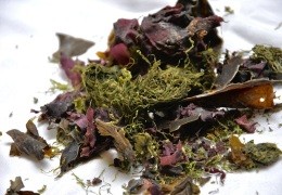 Seaweed or Kelp, 3 Great Benefits - Discover What it is for