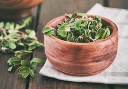 Bearberry - Uva Ursi Tea Benefits - Discover this powerful plant