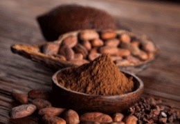 Beneficios y Propiedades del Cacao Puro en Polvo