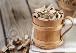 Marshmallow: Where to Buy the Dried Plant and How to Prepare the Tea