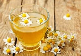 Is Chamomile Tea Good for Nausea and Stomach Ache?