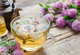 What is Red Clover Good for? Find the Tea Benefits