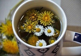 The Best Detox Cleanse - Discover the Herbal Teas and Foods The Best Detox Cleanse - Discover the Herbal Teas and Foods
