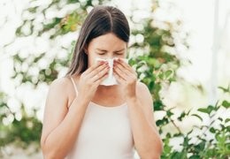 Top 5 – Ervas na Rinite Alérgica