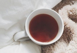 Té de Congorosa - ¿Para qué Sirve y Cuáles son sus Propiedades?