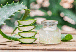 Is Aloe Vera Good for Your Sunburned Skin? Find the Medicinal Uses