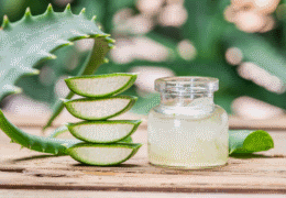 Gel Caseiro de Aloe Vera Puro para Regenerar a tua Pele