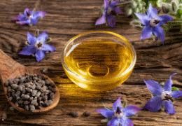 What is Used For - Find The Benefits of Borage Oil
