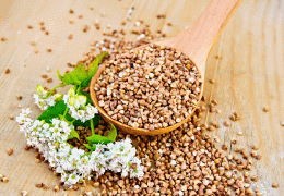 What is Buckwheat - Discover the Plant Health Benefits